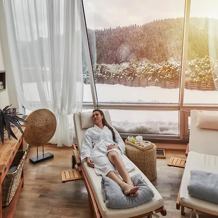 Hotel Wellness Horal,