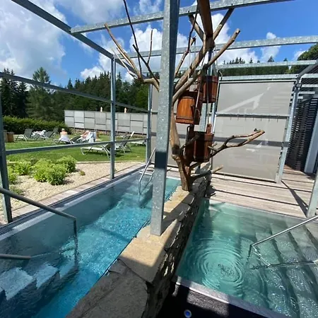 Wellness Horal, Hotel Velke Karlovice