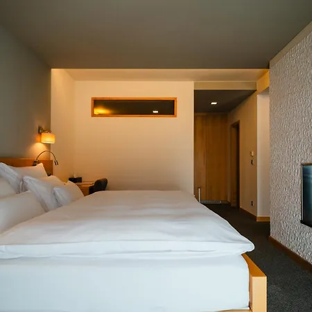 Hotel Wellness Horal, Velké Karlovice