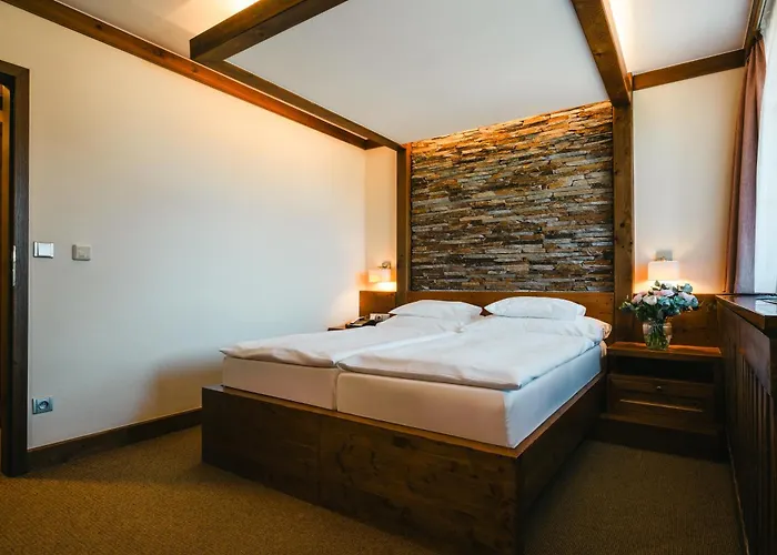 Wellness Horal***+, 3* Velké Karlovice